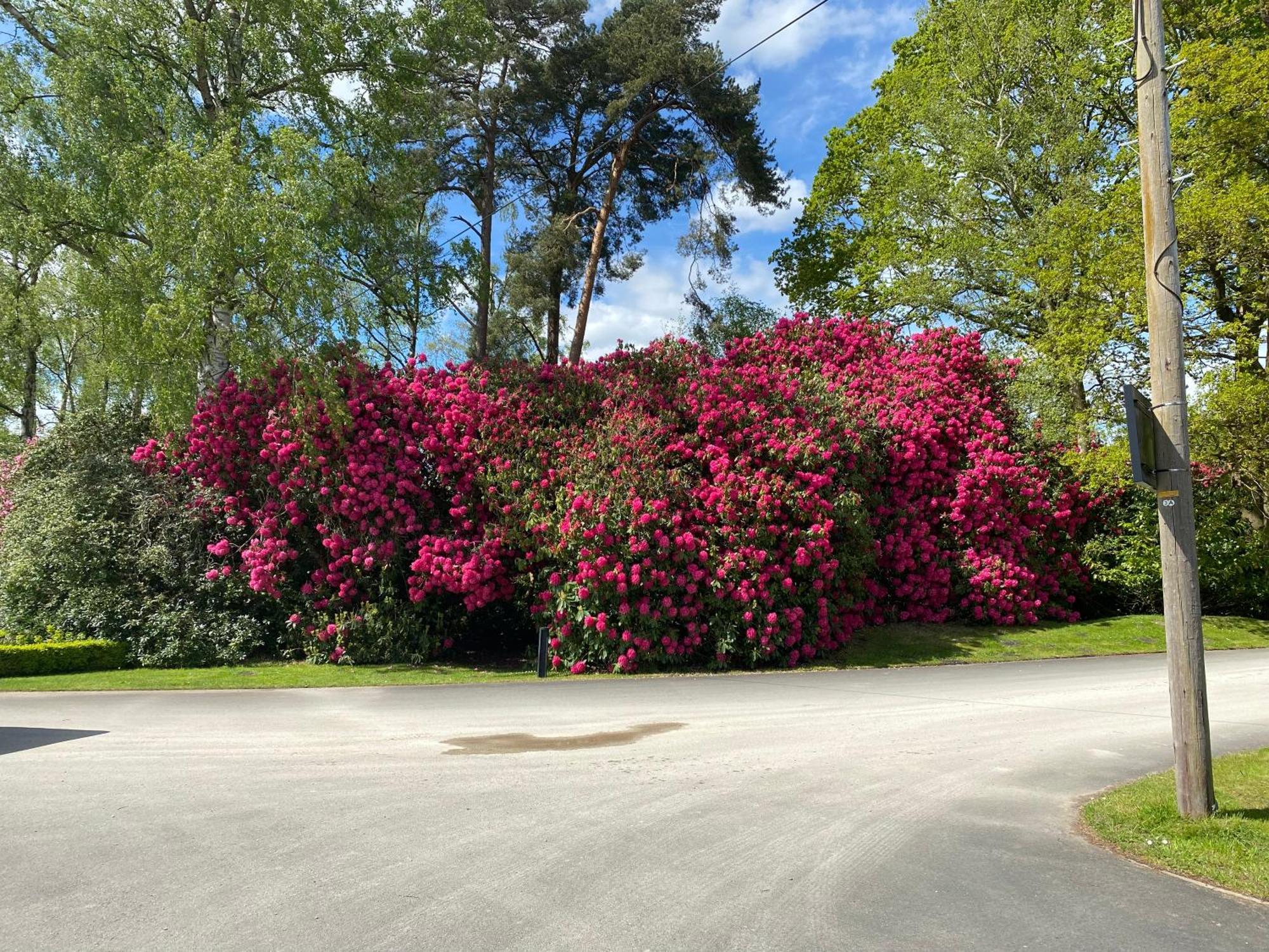 Hare Lodge Woodhall Spa Εξωτερικό φωτογραφία